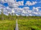 Finland, Kuusamo, Oulanka National Park. Elevated path crossing a marsh. Art Print